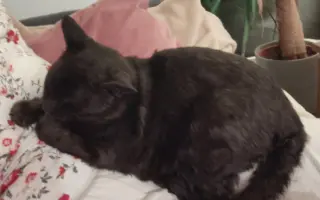 Laruška bojuje o život – pomôžme jej zvíťaziť nad bolesťou