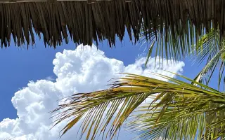 Pomôžte mi vybudovať obchod s kaviarňou na Zanzibare