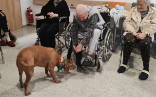 Pomôžte nám udržať  Farmu Happy - bezpečné miesto pre zvieratá