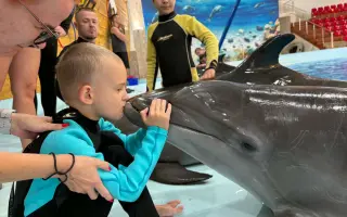 Pomôžme Petríkovi ísť na delfinoterapiu, ktorá mu pomohla otvoriť sa svetu