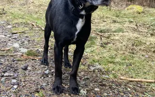 Darujme Benjimu nový život bez bolesti