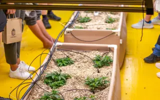 Podporte rozvoj konopnej farmy a vznik centrály spracovania konope na Slovensku