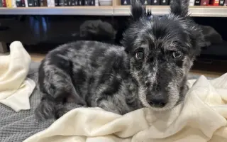 Pomôžme Filipkovi v boji s nádorom Pomôžme Filipkovi v boji s nádorom