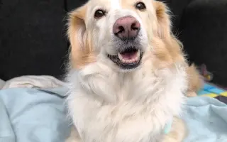 Pomôžte nám dať Dukovi šancu na ďalšie spoločné dni