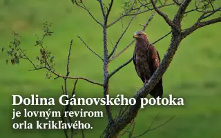 Postavme sa za dolinu. Aj pred súdom.