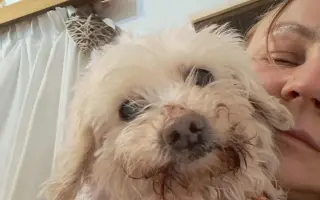 Stará chalúpka sa stala útočiskom pre tých, čo nevedia prosiť o pomoc