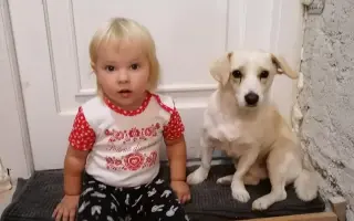 Pomôžte Penny zasa behať – láska na štyroch labkách