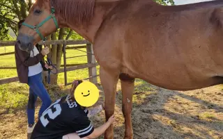 Dajme Sultánovi druhú šancu na život bez bolesti