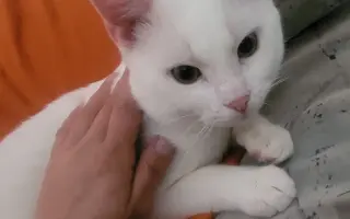 Pomôžme Jarke, Andrejovi a Lucke - rodine vo finančnej núdzi