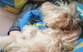 Pomôžme Lakymu pri liečbe rakoviny