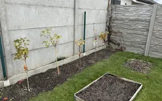 SadímeStromy: Posadíme 100 stromov každý rok