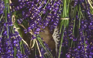 Ateliér na lánoch - podporte levanduľovú a bylinkovú farmičku na Orave