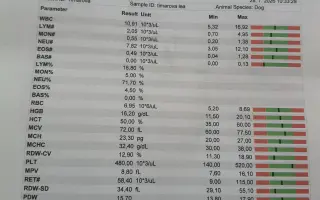 Pomôžme Leuške žiť bez bolesti a svrbenia