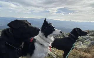 Darujme Benjimu nový život bez bolesti