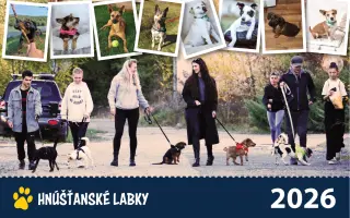 Hnúšťanské labky| Získajte kalendár za dobrý skutok pre opustené psíky