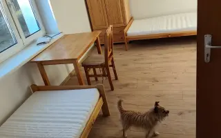 Domček HLBOČINA: Pomôžte nám vytvoriť miesto, kde môžu ženy na chvíľu spomaliť.