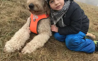 Pomôžme Bobovi opäť pomáhať