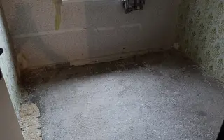 Pomohli ste zrekonštruovať azyl pre hendikepované a zachránené mačky