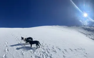 Darujme Benjimu nový život bez bolesti