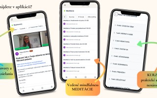 Mindfully: Podporte vznik mobilnej aplikácie na zvládanie stresu v slovenčine