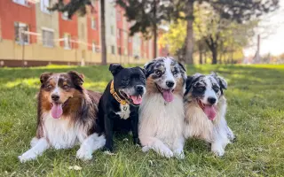 Pre Bessie, aby mohla ešte žiť naplno Pre Bessie, aby mohla ešte žiť naplno