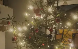 Pomôžme 8-člennej rodine nájsť stabilný domov