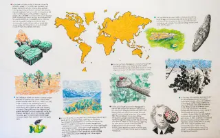 Podporte vydanie LP platne Ota Hudeca Songs for the Prickly Pear