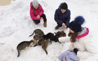 Pomôžme deťom, ktoré prišli o domov kvôli vojne
