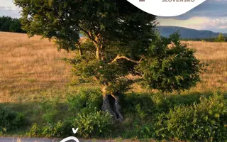 Podporme Deň Čechánok - stretnutie rodákov a priateľov krajiny