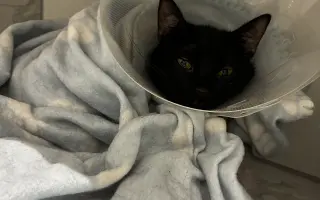 Pomôžme Oggynkovi získať peniaze na liečbu