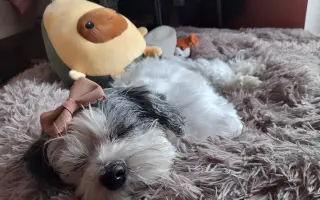 Pomôžte Stelke v boji s onkologickým ochorením