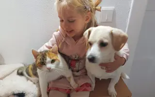 Pomôžte Penny zasa behať – láska na štyroch labkách