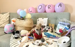 Pre Corku, ktorá už mesiac bojuje o život