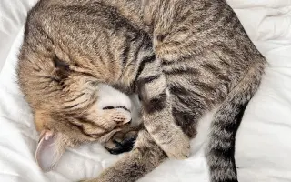 Pomôžte Beňovmu srdiečku