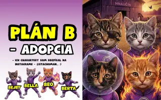 Zo starej stodoly vytvoríme MŇAUČÍN!