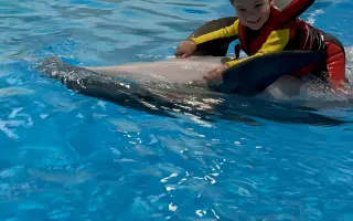 Zabezpečme Damiánkovi a Oliverkovi delfinoterapie
