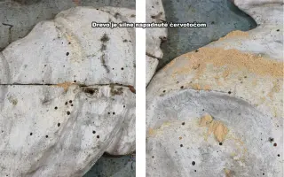 Zachráňme hlavný oltár v kostole sv. Kataríny v Pribyline