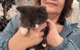 Margita bojuje s rakovinou už 10 rokov. Teraz potrebuje našu pomoc.