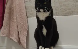 Pomôžme Mikešovi znovu sa nadýchnuť