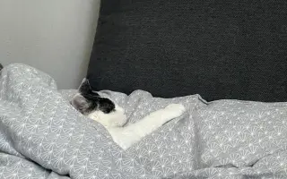 Pomohli ste Kokovi v boji s agresívnou rakovinou FISS