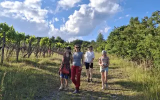 Spoločne otvoríme Arteviu, kde ožije umenie, vinohradnícky dom a človek