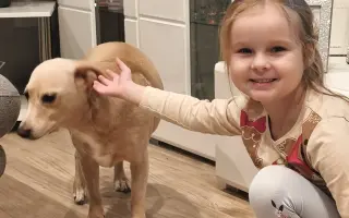 Dajme Minnie možnosť chodiť bez bolesti