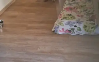 Darujme Šeďovi šancu na návrat k normálnemu životu