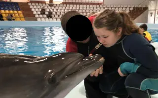 Pomôžme Alex zabezpečiť delfínoterapiu a hyperbarickú komoru