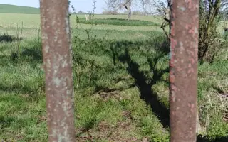 Darujme Jankiným psíkom nové dôstojné oplotenie a výbeh zároveň