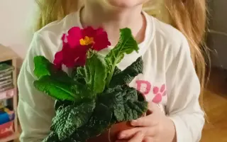 Pomôžte nám bojovať za zrak a zdravie našich detí