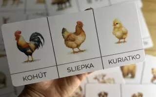 Pomôžte Hravému detstvu rásť – tvoríme učenie, ktoré deti baví