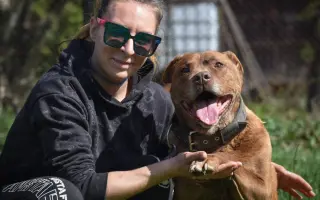 Pomôžte nám - k odkúpeniu raja pre OZ Záchranná stanica ANIMAL chýba ešte kúsok!