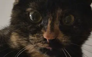 Pomôžte Vande dobehnúť do cieľa