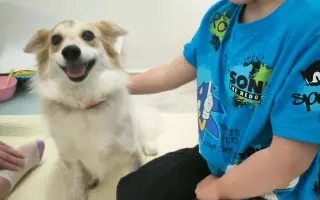 Pomôžme súrodencom s ťažkým autizmom získať potrebné terapie